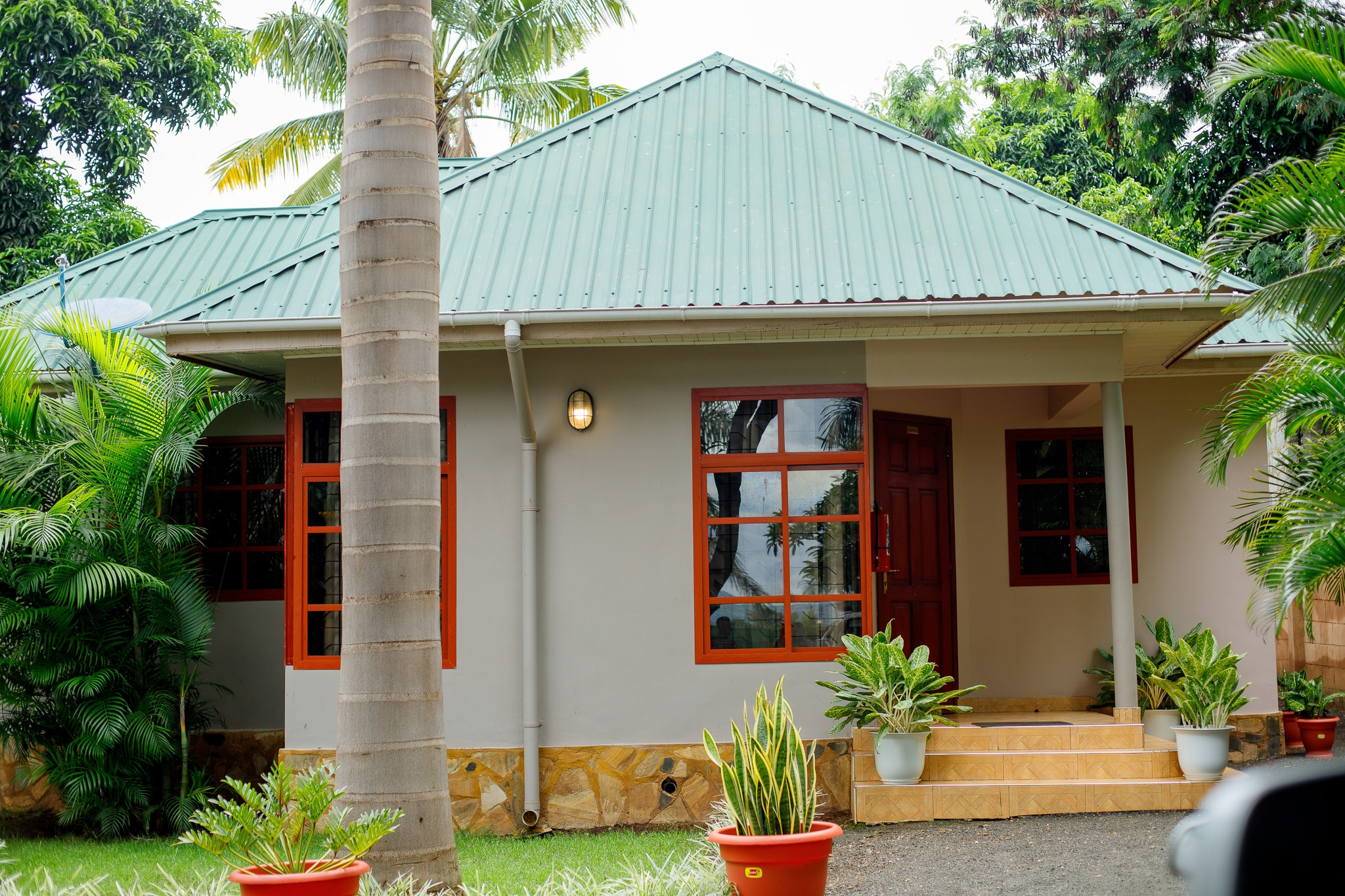 Tropical exterior with palm trees and stone foundation